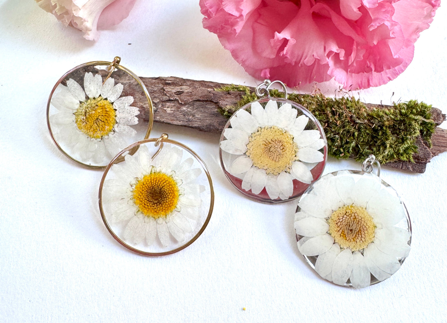 DAISIES