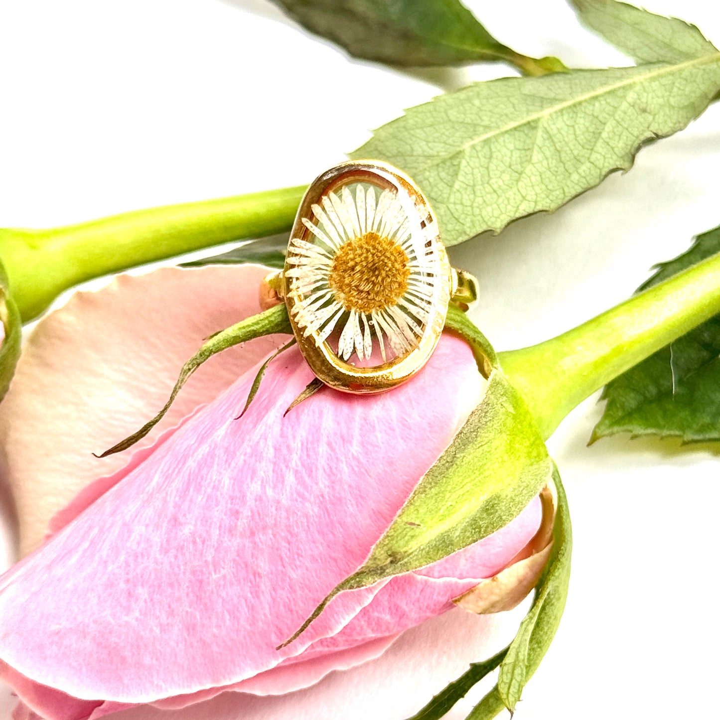 Daisy Ring